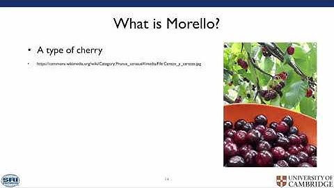 CheriBSD on Morello, the second CHERI: Andrew Turner
