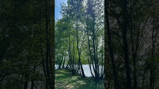 Relaxing green nature view France. #nature #france #natureview #travel #peaceful #travelgirl #girly