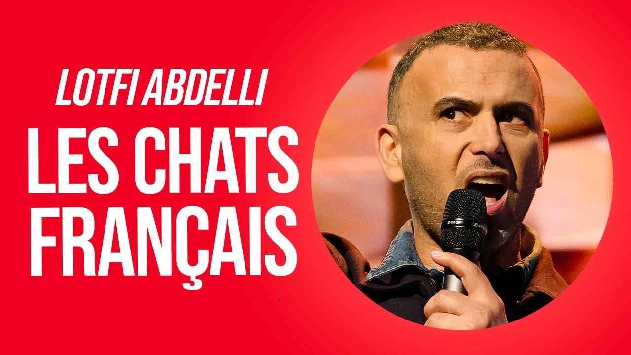 LOTFI ABDELLI   LES CHATS FRANAIS