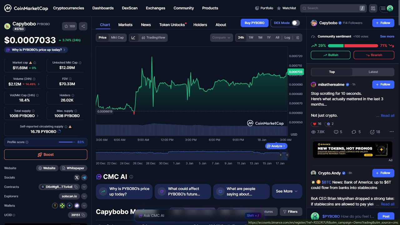 Is Capybobo ($PYBOBO) token legit or a scam - YouTube