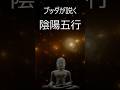 ブッダが説く～陰陽五行～ #ブッダ #開運