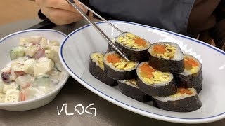 Vlog | Egg Gimbap, Fruit Salad, Rice with fish roe, Interior Accessory Shop, Watercolor Painting
