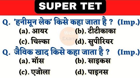 Super TET 2022 || UPTET 2023 Important Questions || Super TET || UP LEKHPAL || SSC || RRB || REET