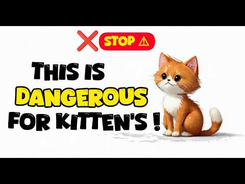 This Tiny Object Almost Killed My Kitten 💔