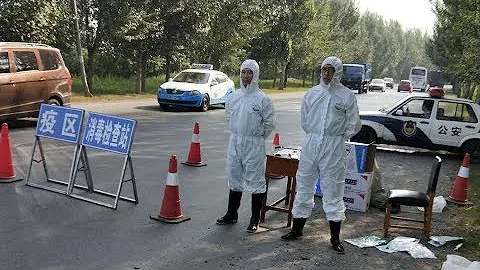 China confirms first cases of African swine fever