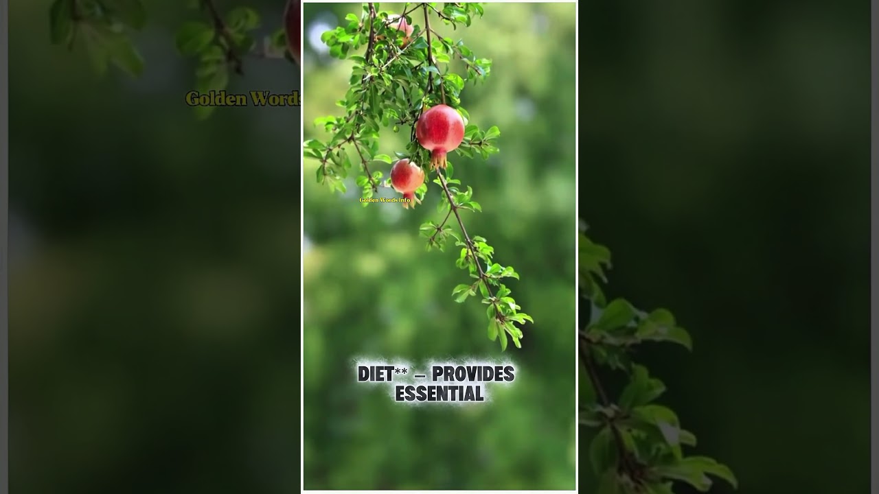 1. **Regular Exercise** || Golden Words Info