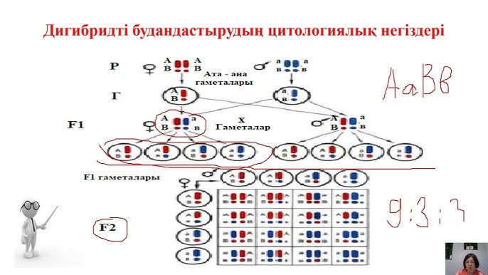 Бугульма жезөкшелерінің номерлері тіркеусіз