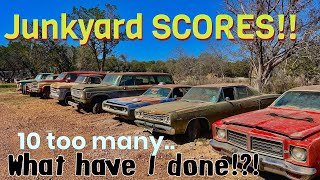 Junkyard treasures! 10 vehicles saved!