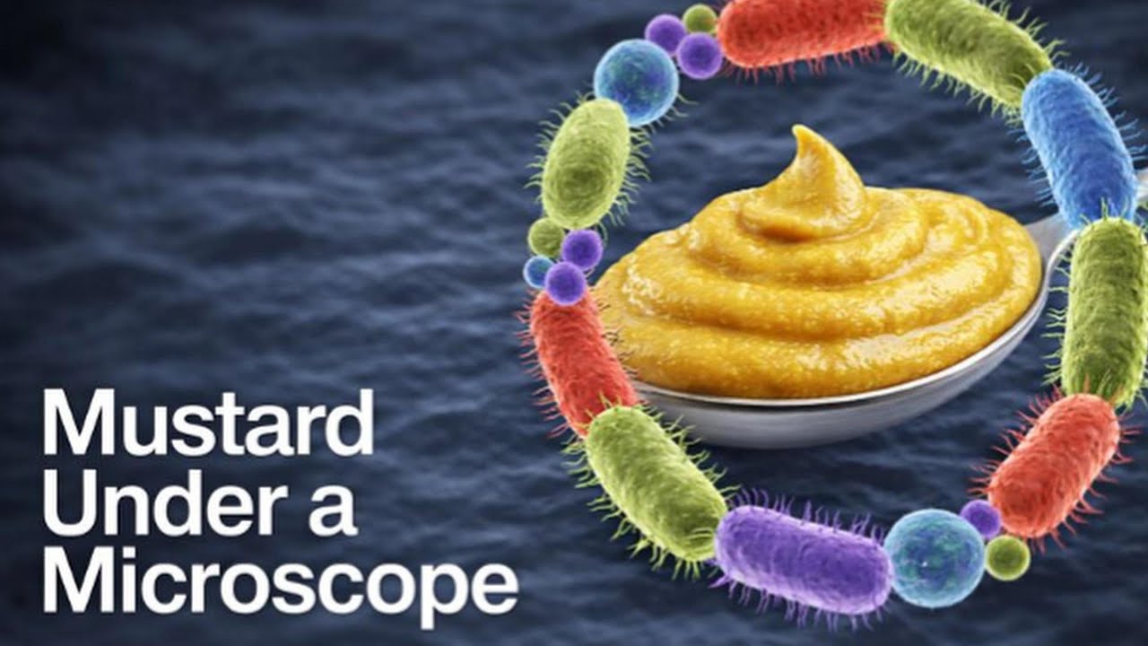 I Was Shocked When I Looked at Mustard Under the Microscope