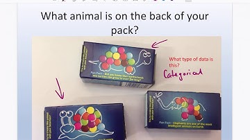 Dot Plots and Column Graphs