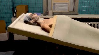 遺体安置所の初仕事で信じられない事が起きて怖すぎるホラーゲーム
