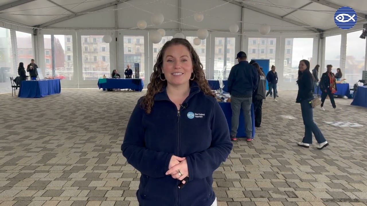 World Ocean Day 2023!