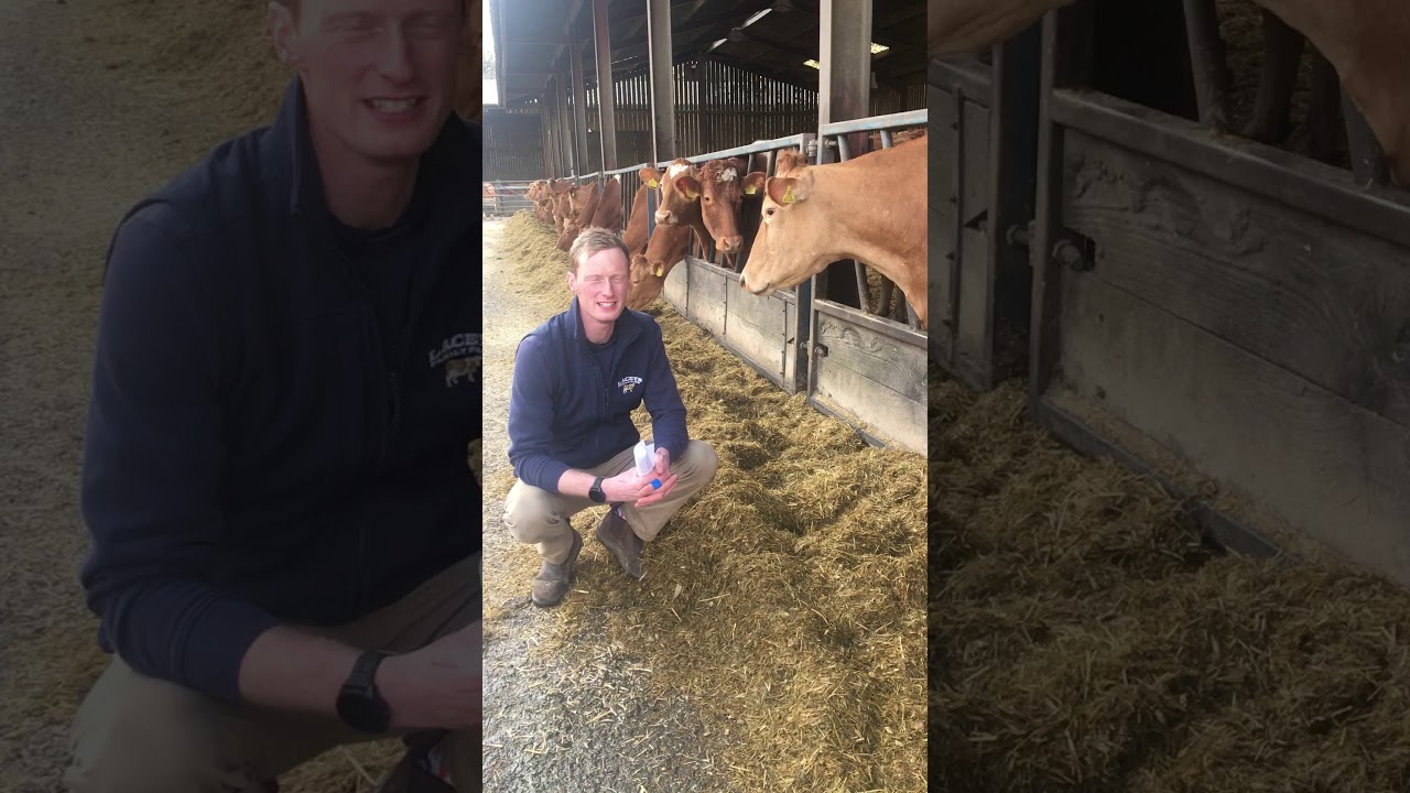 Laceys Farm Videos 1 - Introduction to the farm