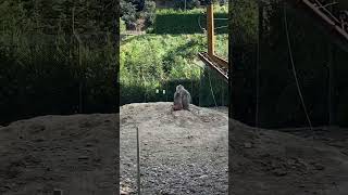 IMG 4644