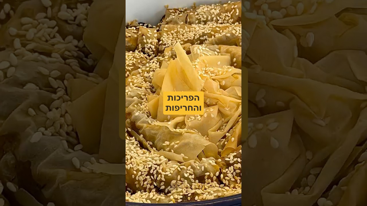 בורקס בשר וחצילים מתכון בתאור