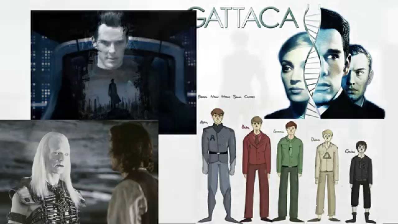 Races should have equal intelligence