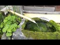 しまばら湧水館