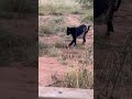 Kenya 2024 Kenya 2024