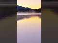 25-sec Introduction-1, Nordic Electropop: Metal Fes Edition, The purpose of the MPF, 2025 (Ver.74.9)