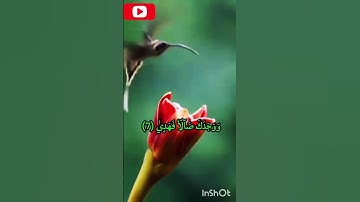 سورة الضحى