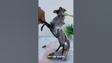 👀 What is this lying on the road? Hey, this is my son