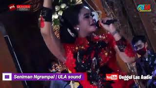 Kangen Kalimantan cipt.Tri Widodo | Cs.Seniman Ngrampal | ULA sound | HVS sragen...