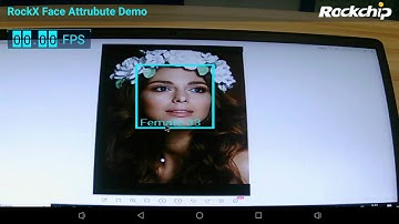 Linaro 96Boards Rockchip RK3399Pro SOM Core Board ： TB-96AI  demo video 2