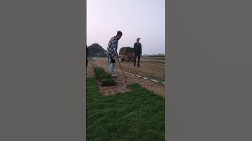 The process of digging green turf #easy #smartwork #short