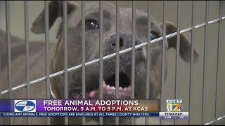 Adoptions from Kern County Animal Services