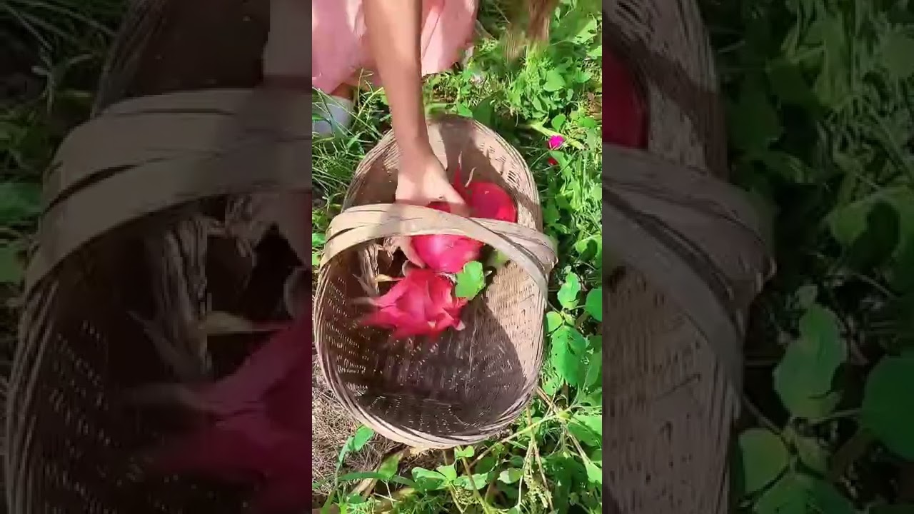 Omg 😱 dream life?😋