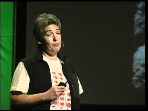 TEDxBuenosAires 2011 - Maria Ines Mato - El viaje ...