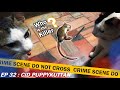 Rat Murder Case | CID Puppykuttan Webseries Malayalam Comedy EP 32 | Puppy's Short Film