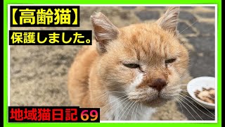 【高齢猫保護】お外で年以上頑張ってきた地域猫のテシモ君。年以上一緒に暮らした親友を亡くし、食欲不振で体力が低下していた。高齢でもあるため、メンバーとも相談し保護することに。保護猫　地域猫