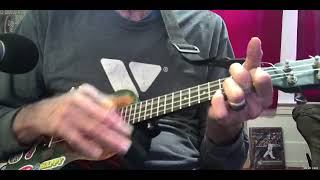 Cover of Divine Feelings by Vance Joy on Concert Uke.