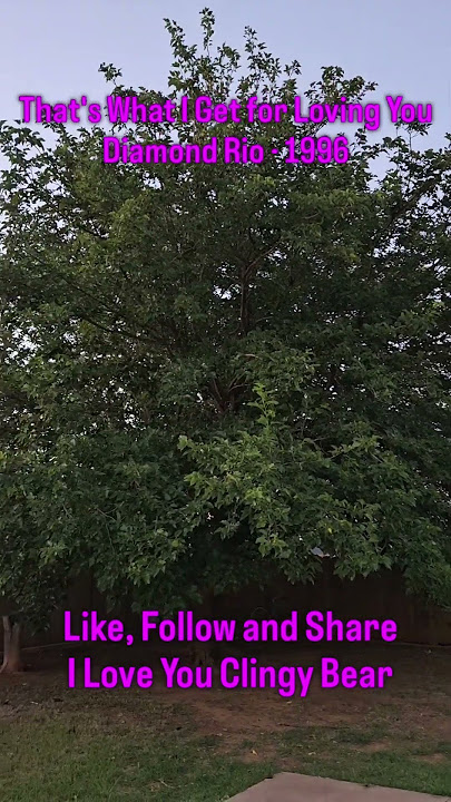 That's What I Get for Loving You.  Song by Diamond Rio ‧ 1996