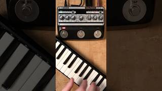 Analog Delay on EVERYTHING?