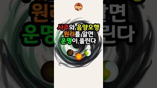 사주와 음양오행 원리를 알면 운명이 풀린다 #사주 #사주풀이 #운세 #운세풀이 #풍수 #풍수지리 #행운 #대…