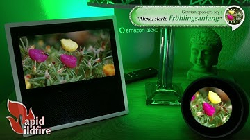 Best Alexa Skills: Springtime on Echo Show and Echo Spot