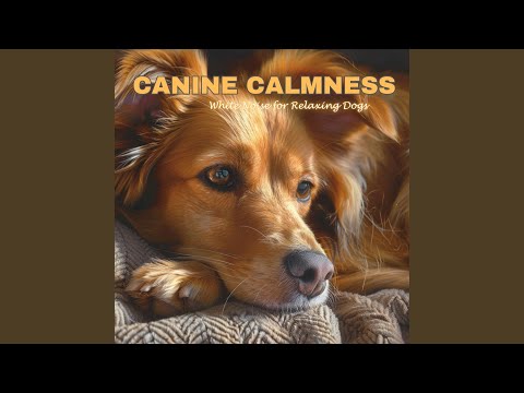 Doggy Dreamland Serene Sounds For Canine Slumber 
