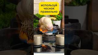 ИСПОЛЬЗУЙ ЧЕСНОК ПРАВИЛЬНО! #дача #огород #чеснок #правильное #сад