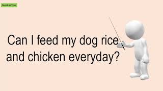 Can I Feed My Dog Rice And Chicken Everyday?