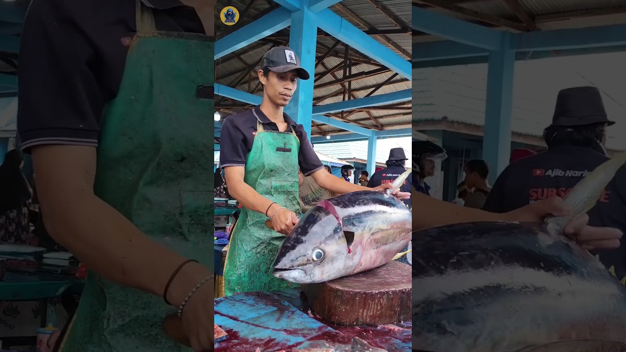 Why Tuna Are So Expensive 🦈