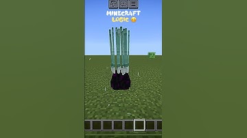 Minecraft logic || minecraft dragon egg || #minecraft #ytshorts #shorts #egg #logic
