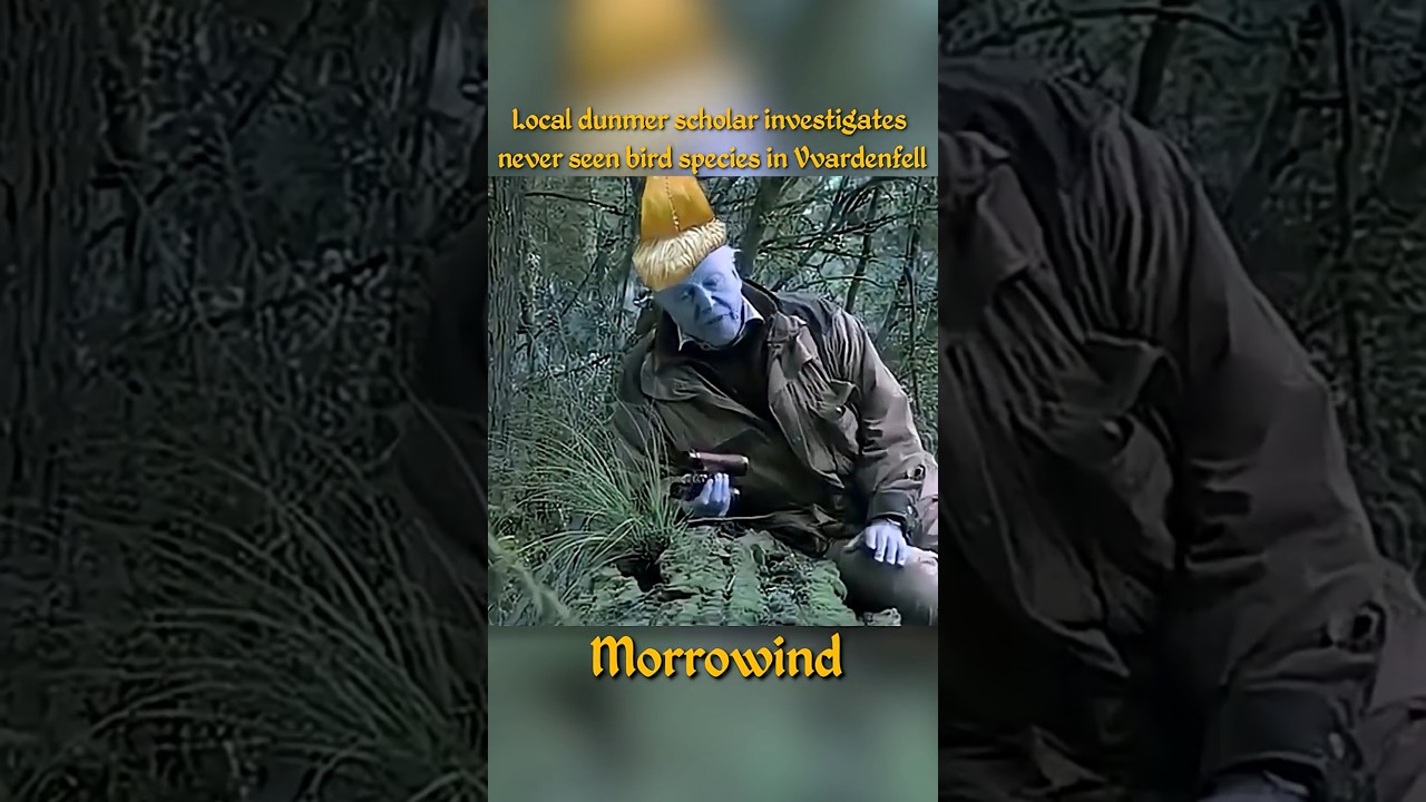 #morrowind #elderscrollsmeme #morrowindmeme