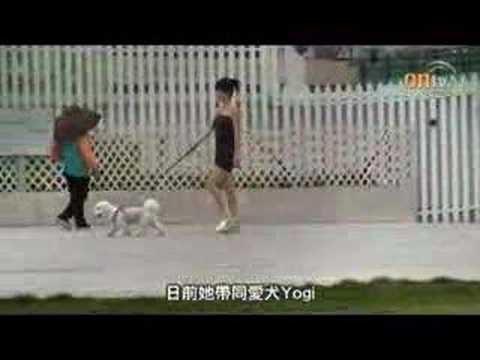 關心妍騰雞扯尾護愛犬