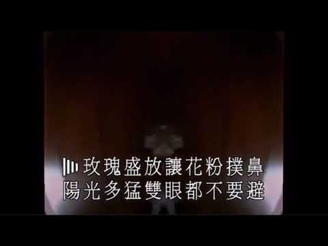 如何掉眼泪 伴奏