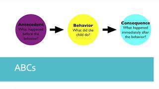 Behavior Basics Part 1