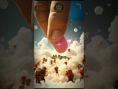 جبل السكر العملاق هروب جميل