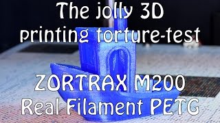 Zortrax M200 and The jolly 3D printing torture-test Time Lapse 4K