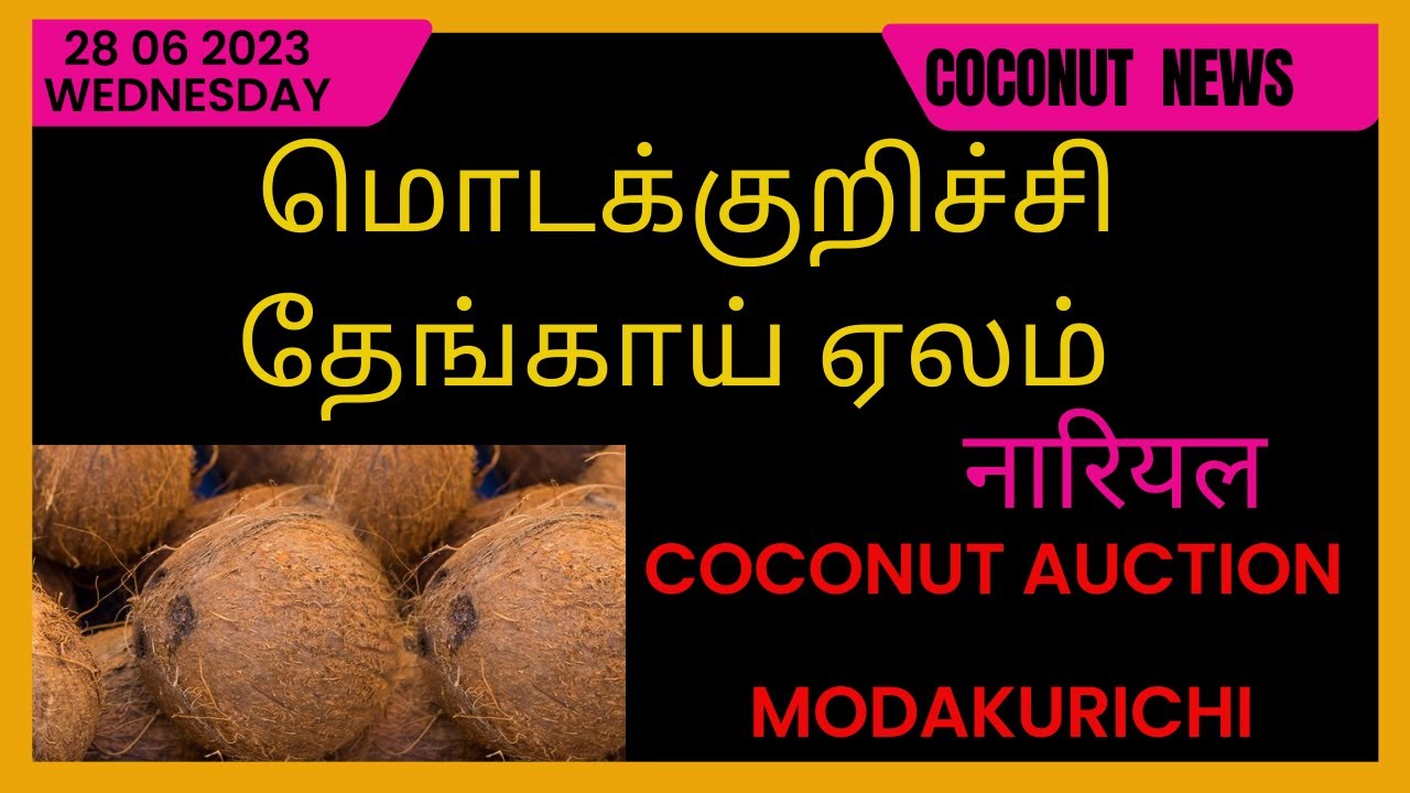 Modakurichi மொடக்குறிச்சி தேங்காய் ஏலம் | Coconut Market price At Modakurichi ...